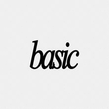 BASIC BASIC